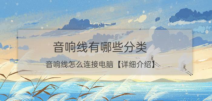 音响线有哪些分类 音响线怎么连接电脑【详细介绍】